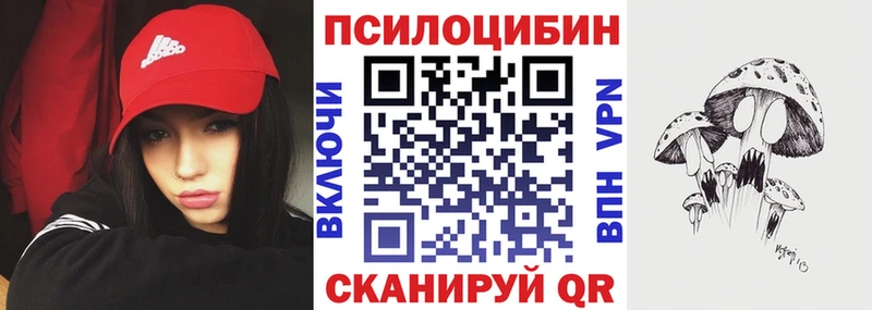 где продают   Нововоронеж  Галлюциногенные грибы Psilocybe 