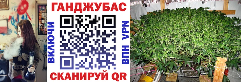 kraken онион  Нововоронеж  Шишки марихуана индика 